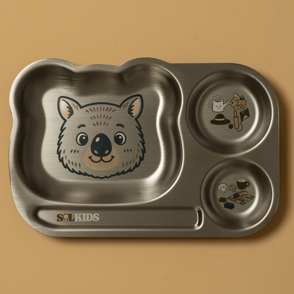 Divided Stainless Steel Kids Plate