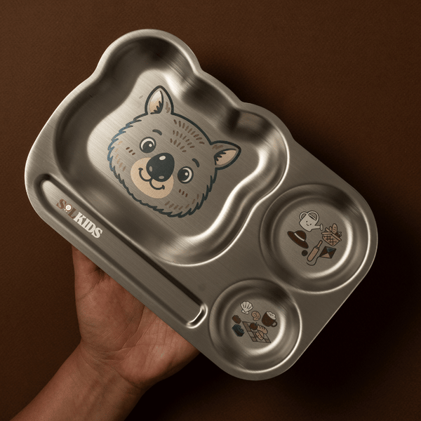Divided Stainless Steel Kids Plate