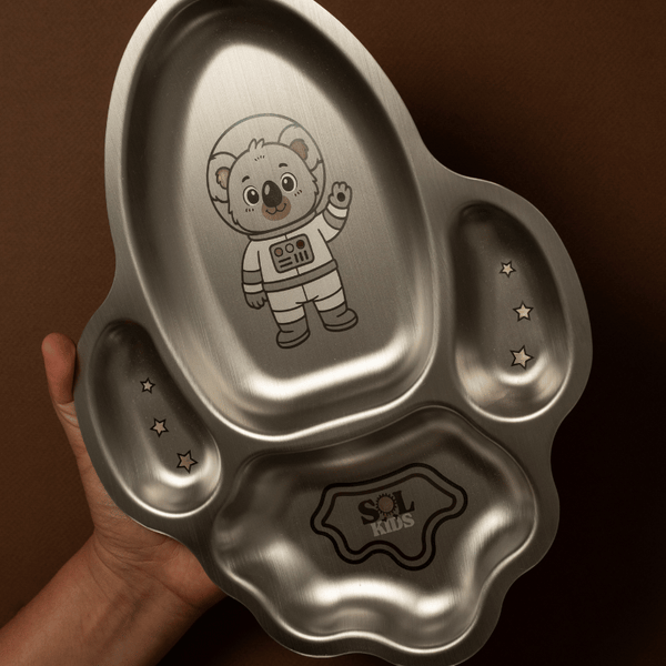 Premium Large Stainless Steel Kids Plate