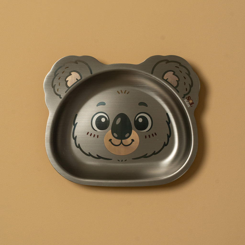 Small Stainless Steel Kids Plate
