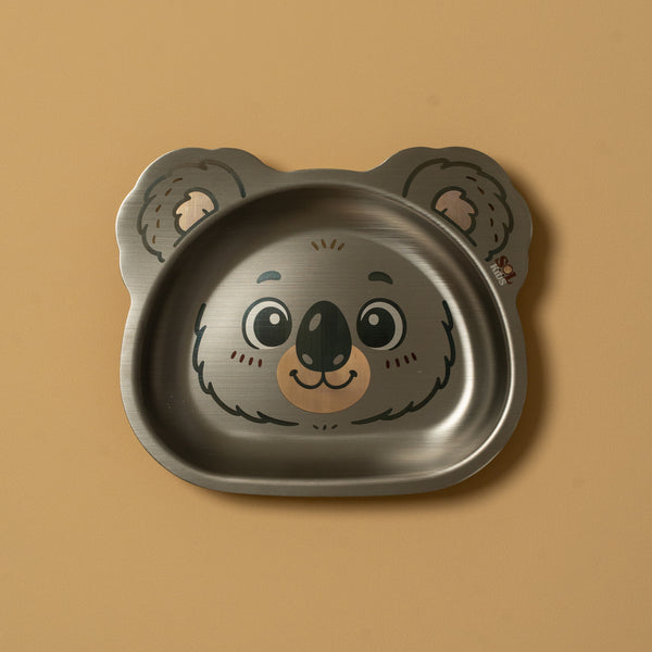 Small Stainless Steel Kids Plate