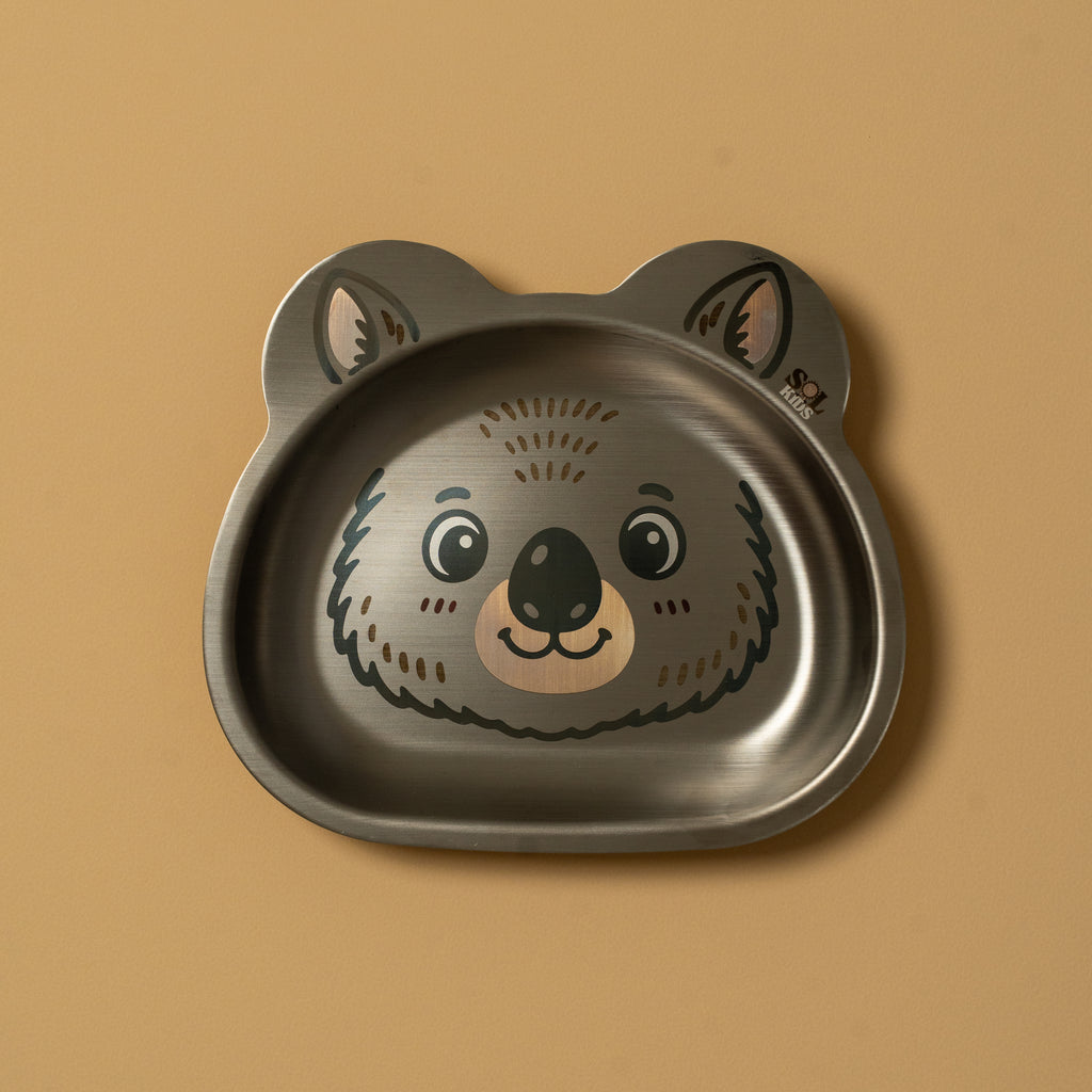 Small Stainless Steel Kids Plate