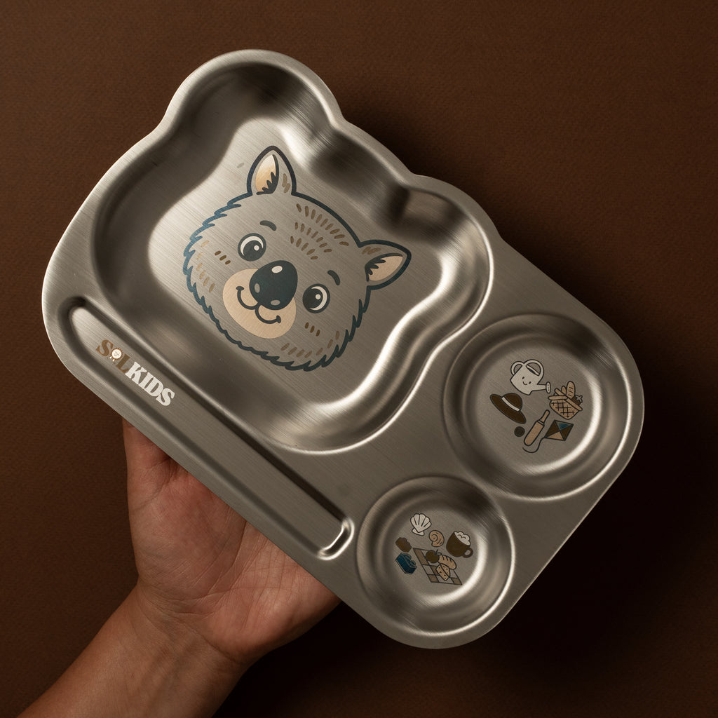 Divided Stainless Steel Kids Plate