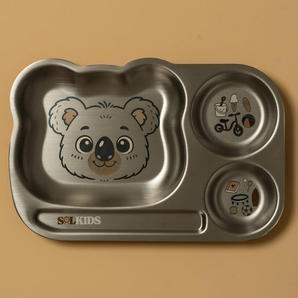 Divided Stainless Steel Kids Plate