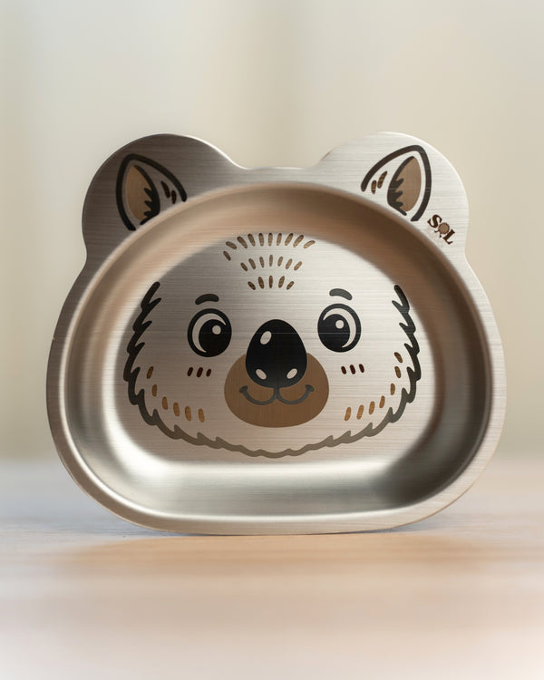 Small Stainless Steel Kids Plate