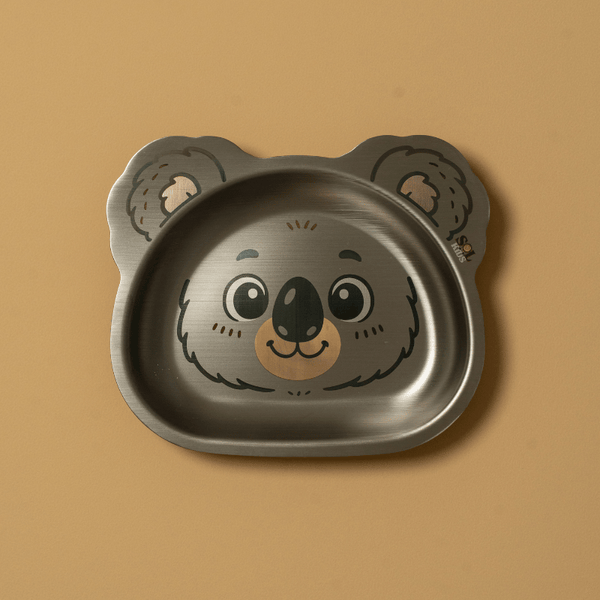 Small Stainless Steel Kids Plate