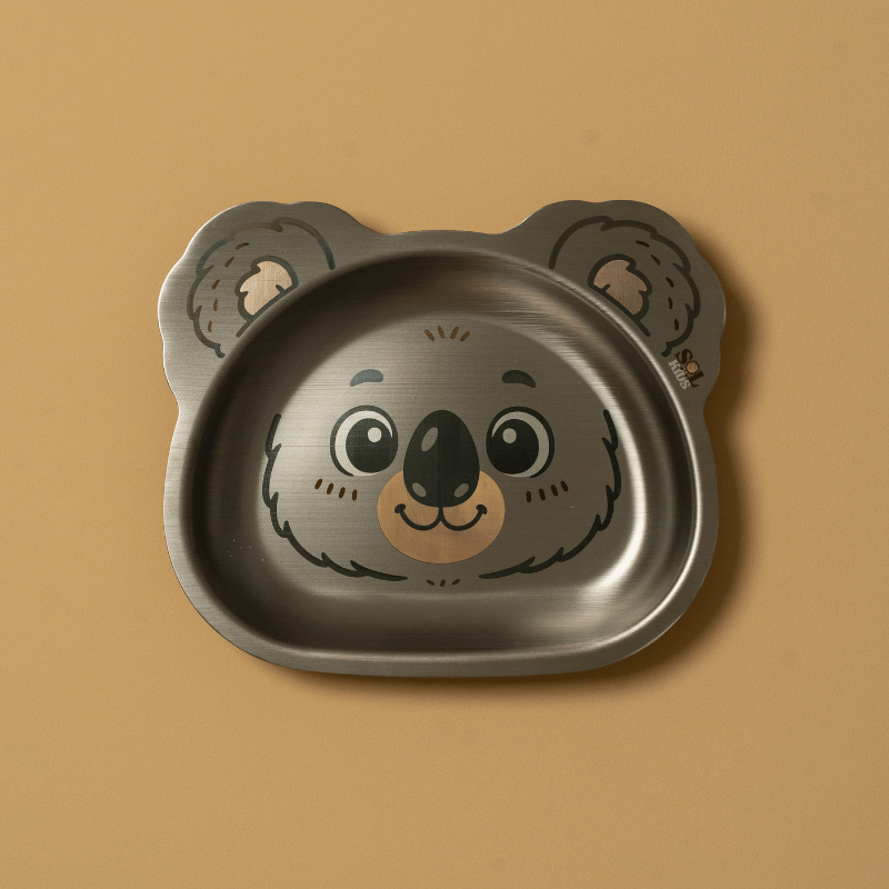 Small Stainless Steel Kids Plate