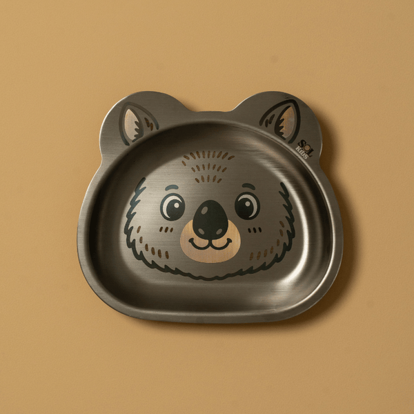 Small Stainless Steel Kids Plate